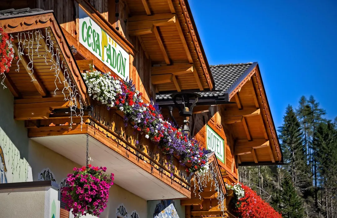 Hotel Cesa Padon-1